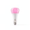 Philips Hue A21 Smart LED Bulb Bluetooth Color Ambiance-3
