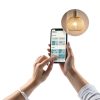 Deako Smart Dimmer Lighting Control Switch for Home Ambiance-7
