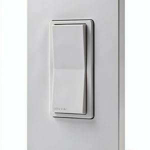 Decora Anywhere Switch Companion Wireless Control Smart Home-0