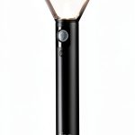 Ring Pathlight Smart Outdoor Lighting 80 Lumens-0
