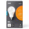 Feit LED Dusk to Dawn Bulb E12 Candelabra A19 Daylight-1