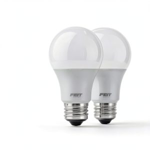 FEIT ELECTRIC A19 LED Bulb Daylight 1-Way On Off-0