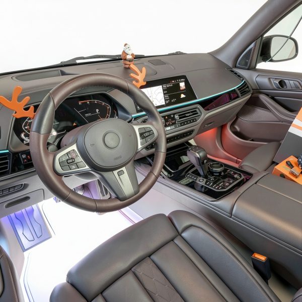 Pavo RGBIC LED Strip Lights Waterproof Bright Car Interior-5