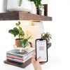 FEIT ELECTRIC Smart LED Bulb Multicolor Voice Control-5